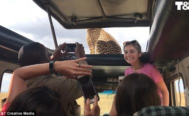 Getoparti qëndroi në tavanin e hapur të makinës së turistëve, ata nuk hezituan të bëjnë ‘selfie’ (Video)