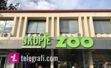 Kopshti zoologjik i Shkupit për herë të parë me luaneshë të bardhë dhe krokodilë afrikan