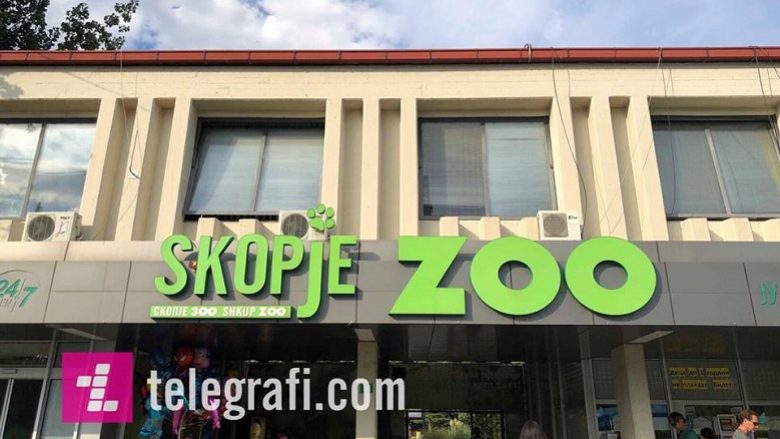 Ngordh gjirafa Kasper, Kopshti Zooligjik i Shkupit mbetet me vetëm me një gjirafë