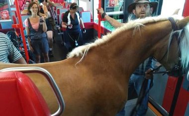 Përjashtohet nga treni sepse donte të udhëtonte bashkë me kali (Video)