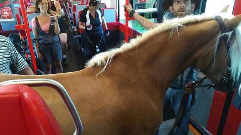 Përjashtohet nga treni sepse donte të udhëtonte bashkë me kali (Video)