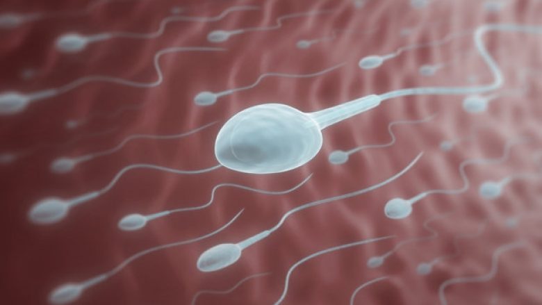 Si ta përmirësoni kualitetin e spermës