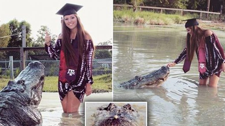 Me rastin e diplomimit, vajza nga Teksasi pozon karshi aligatorit 450 kilogramësh (Foto/Video)
