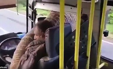 Elefanti ia bllokon rrugën shoferit të autobusit, fut hundën në dritare dhe ia vjedh bananet që i kishte brenda (Video)