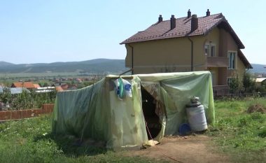 Familja nga Drenasi jeton në tendë, kryefamiljari: Një shtëpi me ndërtu, s’kisha dashtë asgjë tjetër në jetë (Video)