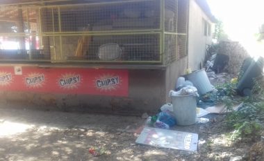 Turistët ngelin të tmerruar, mbeturina në plazhet e Ohrit