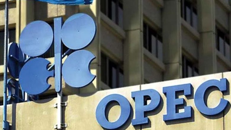 OPEC ul parashikimin për rritjen e naftës gjatë vitit 2019