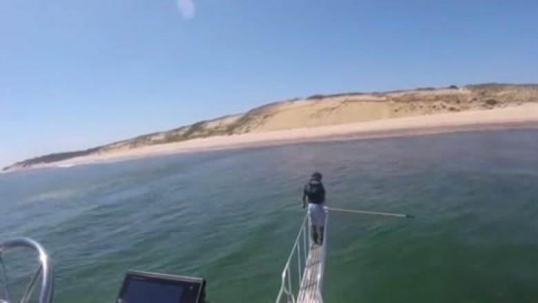 Filmohet peshkaqeni duke shqyer fokën në ujërat e Massachusettsit (Video, +18)