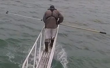 U afrua me një shkop në dorë te uji, hulumtuesi për pak sa nuk e pagoi me jetë kur para syve të tij u shfaq një peshkaqen (Video)