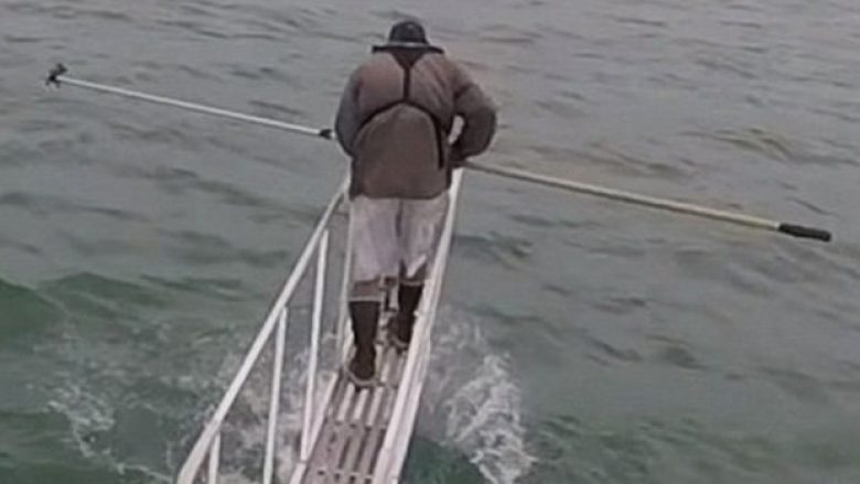 U afrua me një shkop në dorë te uji, hulumtuesi për pak sa nuk e pagoi me jetë kur para syve të tij u shfaq një peshkaqen (Video)
