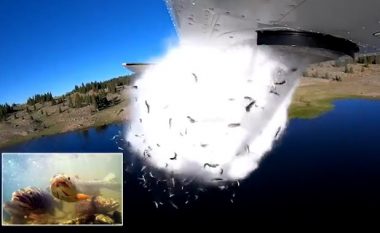 Agjencia për mbrojtjen e resurseve në SHBA, përdor aeroplanët për t’i mbushur liqenet me peshqi (Video)