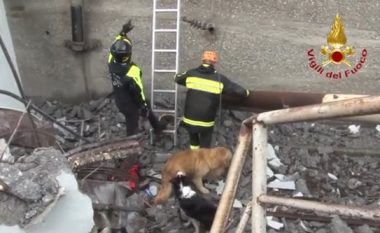 Në kërkim të njerëzve të gjallë poshtë urës së shembur janë edhe qentë – ata janë sjellur nga disa pjesë të Italisë (Video)