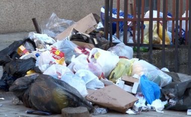 Mbeturina dhe kundërmim në një rrugë, shumë afër Parkut të Qytetit në Prishtinë (Video)