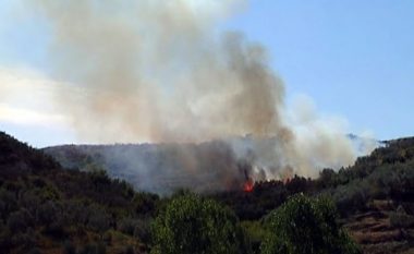 Zjarr në Shqipëri, digjen disa hektarë të mbjella