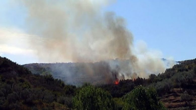 Zjarr në Shqipëri, digjen disa hektarë të mbjella