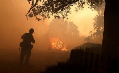 Zjarri në Kaliforni dogji një sipërfaqe sa Los Angelesi (Video)