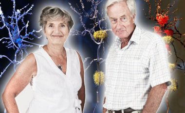 Demenca – a janë meshkujt apo femrat më të rrezikuar nga Alzheimeri?