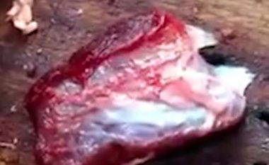Copa misterioze e mishit nisi të ‘ngjallet’ në dërrasën e prerjes (Video)
