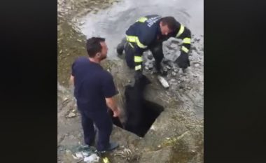 Ishte futur në pusetë, rrezikonte të mbytej – zjarrfikësit i shpëtojnë jetën një qeni në Suharekë (Video)