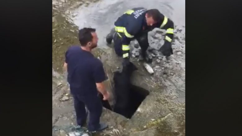 Ishte futur në pusetë, rrezikonte të mbytej – zjarrfikësit i shpëtojnë jetën një qeni në Suharekë (Video)
