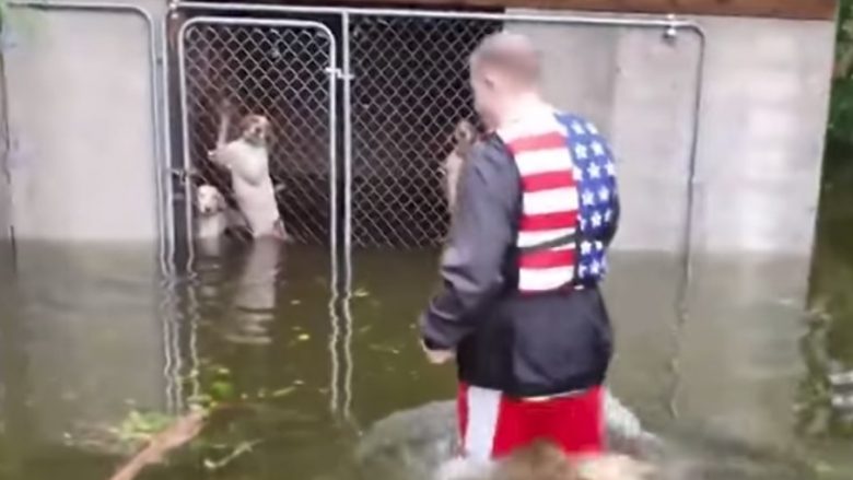Stuhia Florence “përfshiu” gjithçka, por dikush u kujdes që jo edhe qentë – ata u shpëtuan nga më e keqja (Video)