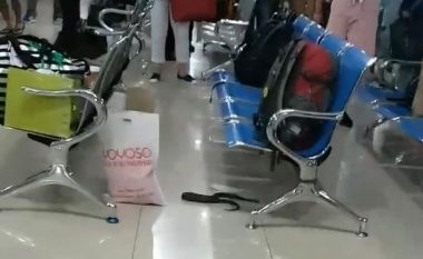 Udhëtarët ikën të frikësuar prej një gjarpri që u shfaq papritmas brenda aeroportit (Video)