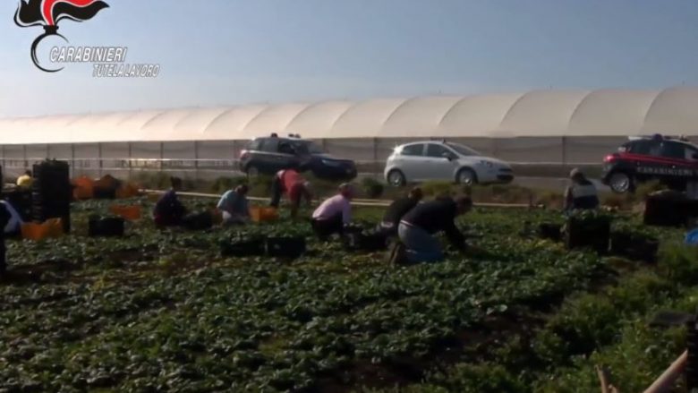 I paguanin punëtorët shqiptarë 5 euro për orë, arrestohen tre italianët për shkelje të ligjeve të punës