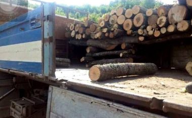 Përballimi i krizës, propozohet përjashtimi nga TVSH i druve të zjarrit në Shqipëri