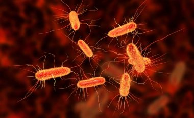 E Coli: Çfarë është kjo baktere dhe cilat janë simptomat e një infeksioni
