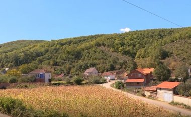 Mollopolci, fshati i bukur i Shtimes që ka njëqind burime uji (Video)