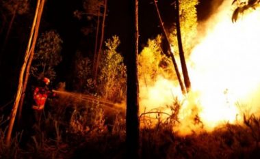 ​Zjarr në Fushë Kosovë, i dëmtohen bletët një personi