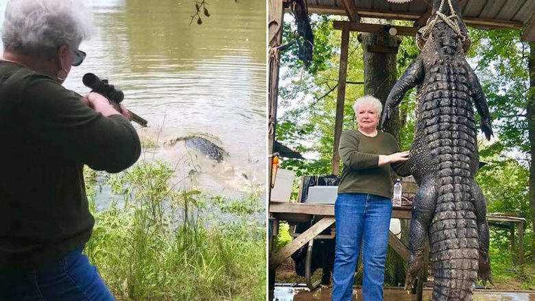 “Mos u kruaj me gjyshen”: Kryebashkiakja e Teksasit merr hak në aligatorin që thotë se i hëngri kalin e saj (Video)