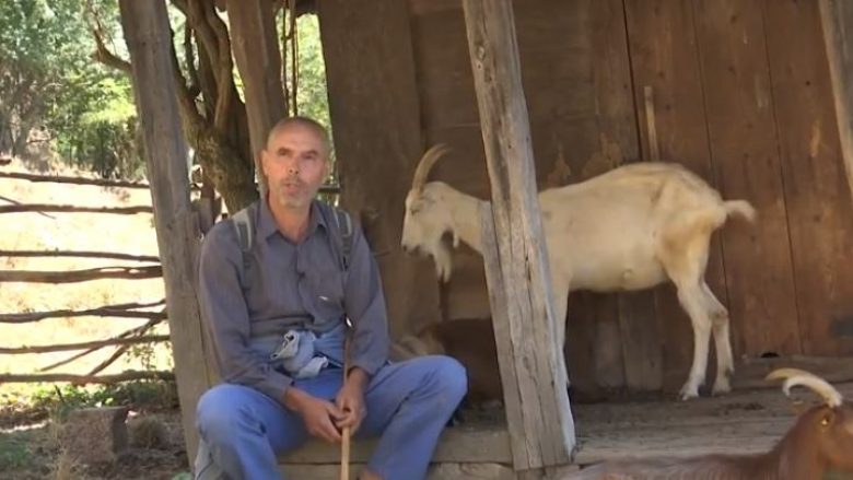 Fshati i Mitrovicës ku jeton vetëm një person me 300 dhitë e tij (Video)