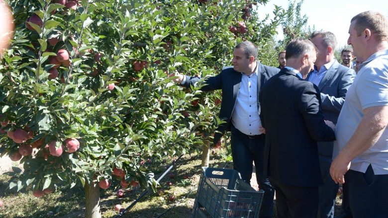 Në Kovragë të Istogut shënohet ‘Dita e mollës’