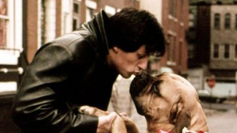 Periudha më e pikëlluar e jetës e Sylvester Stallones: E ka shitur qenin e vet për 25 dollarë për të mbijetuar – tregim i cili do t’ju bëjë të qani!