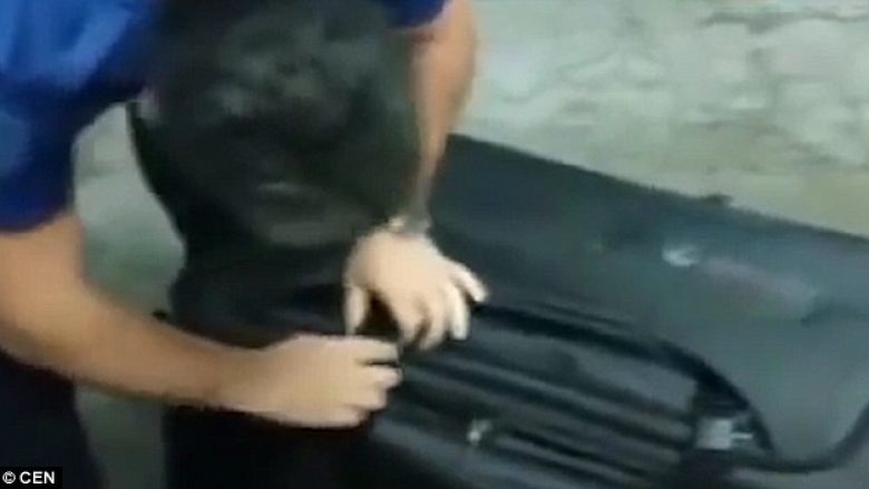 Momenti kur policia kufitare e Turqisë, brenda valixhes gjejnë një 27-vjeçare, mundohej të futej ilegalisht (Video)