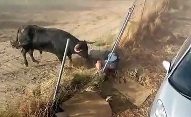 Të jesh i goditur për gati një minutë nga brirët e një demi – pamje që tregojnë se çfarë përjetoi një burrë në Spanjë (Video)