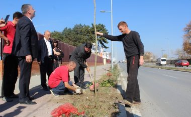 Në Gjilan fillon mbjellja e rreth 7 mijë drunjve dekorativ
