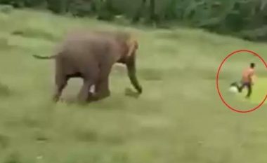 Elefanti shtyp 10-vjeçarin në Indi, mbetet i vdekur në vend (Video, +18)