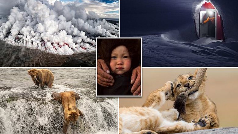 Gara për imazhet më të bukura në National Geographic (Foto)