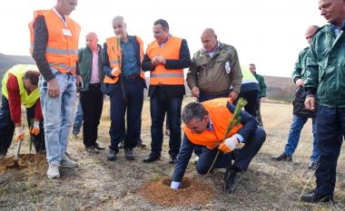 Brenda një dekade Kosova do të ketë 50% të sipërfaqes së saj me pyje