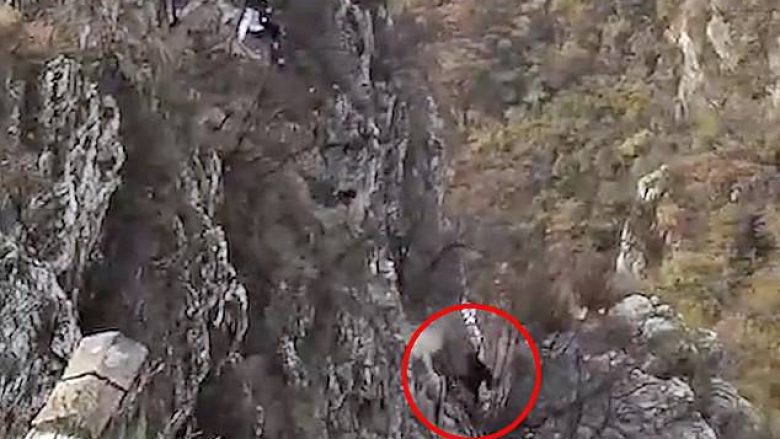 Alpinistja bie nga shkëmbi, shpëton mrekullisht – turistja tjetër filmon gjithçka (Video, +18)