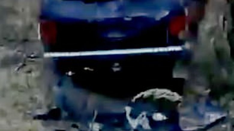 Ariu ‘hakmerret’ ndaj gjuetarëve, iu shkatërroi veturën në tërësi (Video)