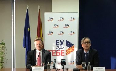 Gjermania dhe Franca me plan koordinativ për pengimin e tregtisë me armë ilegale në Ballkanin Perëndimor (Video)