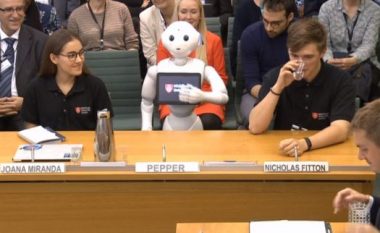 Dëshmitari i parë që nuk është njeri, roboti merret në pyetje nga ligjvënësit e Parlamentit (Video)