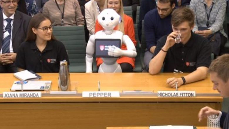 Dëshmitari i parë që nuk është njeri, roboti merret në pyetje nga ligjvënësit e Parlamentit (Video)