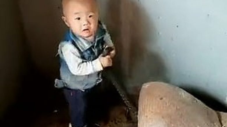 Prindërit e lejojnë të luajë me gjarpërinj fëmijën e tyre të vogël (Video)