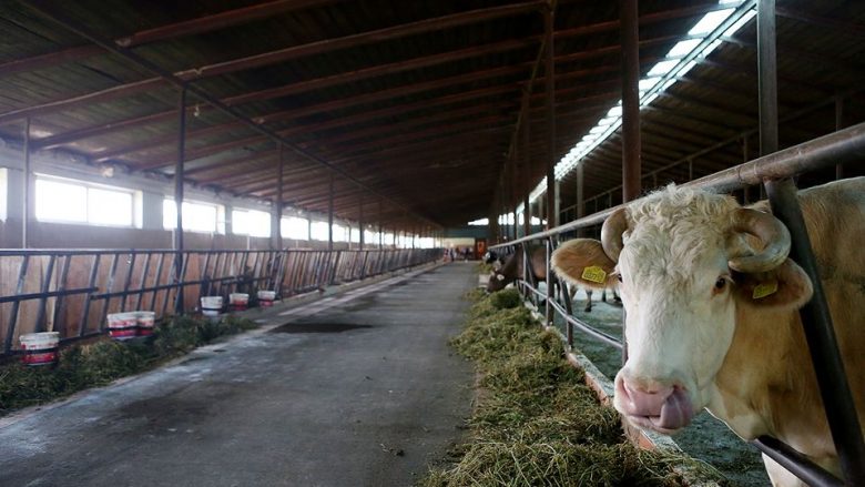 Edhe tre javë deri në përfundimin e afatit të legalizimit të fermave në Maqedoni