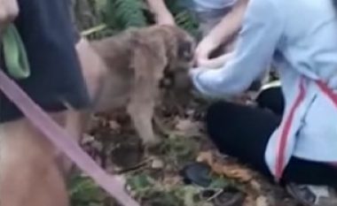 Pronarët të gëzuar që e gjetën qenin, mbijetoi tri ditë i bllokuar në mal (Video)