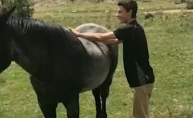 Tentimi për të kalëruar një kalë të egër, përfundoi ashtu siç pritej (Video)